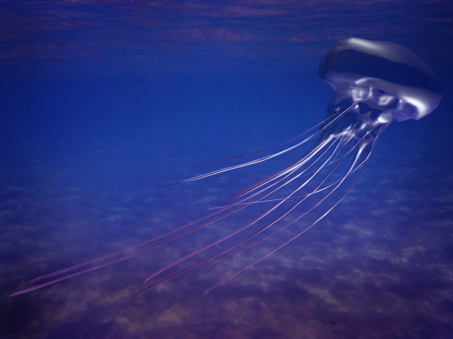 3ds max jellyfish fish jelly https://p.turbosquid.com/ts-thumb/21/OwOXPX/bE29aD6I/jellyfish_3/jpg/1417667079/1920x1080/fit_q87/46b0f136ae429f94fa2cb63446dae39e0a65835d/jellyfish_3.jpg