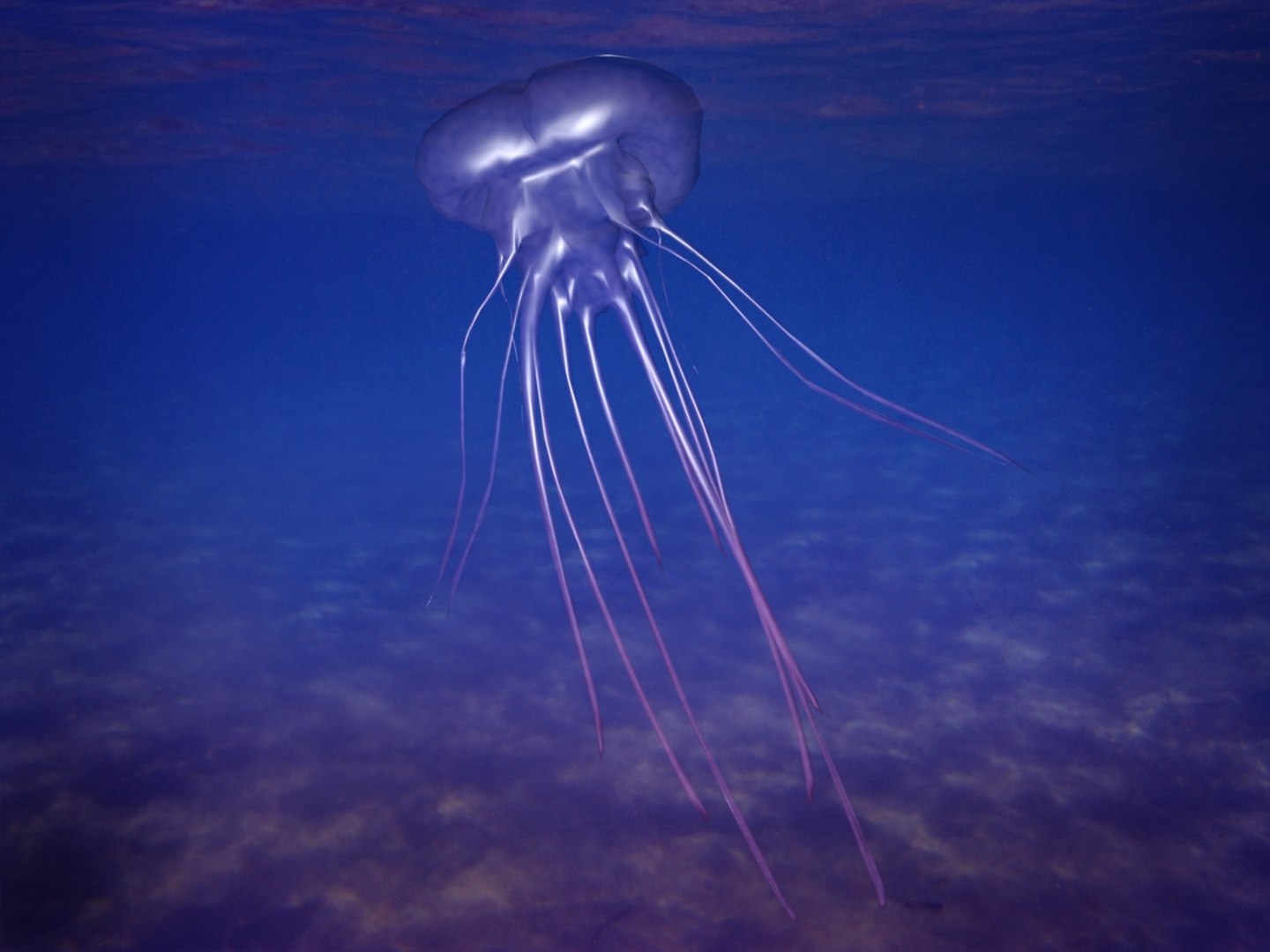 3ds max jellyfish fish jelly https://p.turbosquid.com/ts-thumb/21/OwOXPX/moLtfI3c/jellyfish_5/jpg/1417667079/1920x1080/fit_q87/7bad2bc9d051560ab7b505cf4fe03c10fcd0d0c9/jellyfish_5.jpg