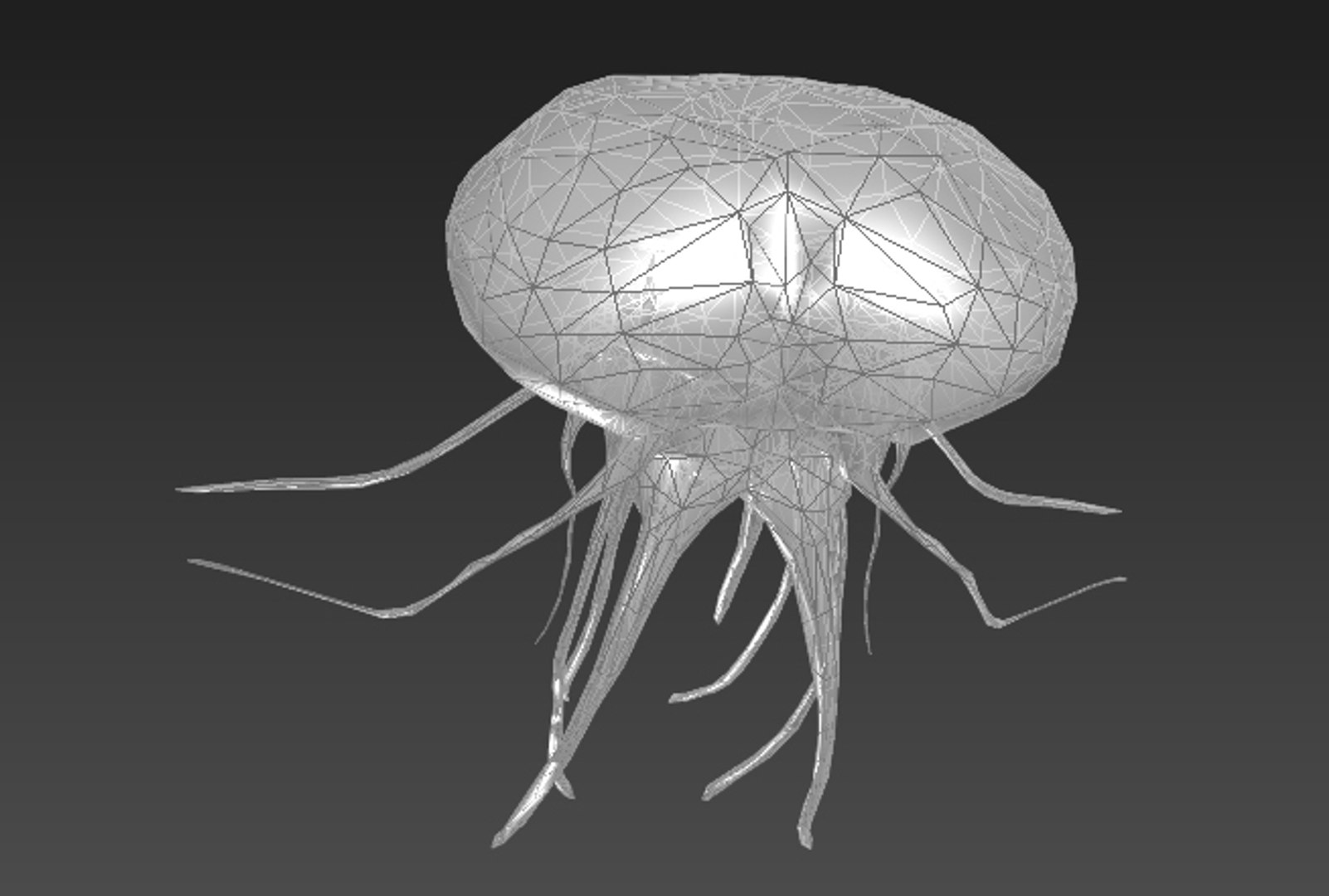 3ds max jellyfish fish jelly https://p.turbosquid.com/ts-thumb/21/OwOXPX/zyzBrxuM/jellyfish_7/jpg/1417667079/1920x1080/fit_q87/b6428707e9d1684a42edf61c6f81f6c62f35ce1c/jellyfish_7.jpg