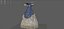 ROCOCO ERA DRESS