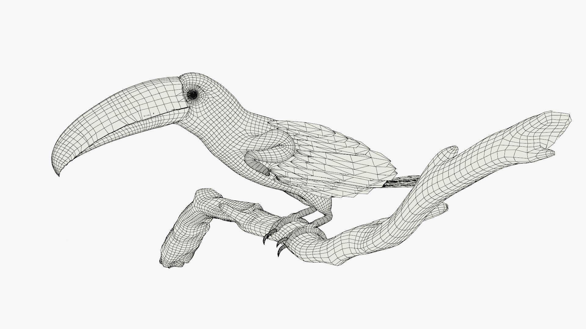 3D Tropical Toco Toucan Animated Fur Rigged For Blender model https://p.turbosquid.com/ts-thumb/21/S4nTIp/E0/tropical_toco_toucan_animated_fur_rigged_for_blender_015/jpg/1766150315/1920x1080/fit_q87/902102fc5329890a60d7a7c71525a8840422e95e/tropical_toco_toucan_animated_fur_rigged_for_blender_015.jpg