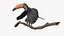Tropical Toco Toucan Animated Fur Rigged For Blender