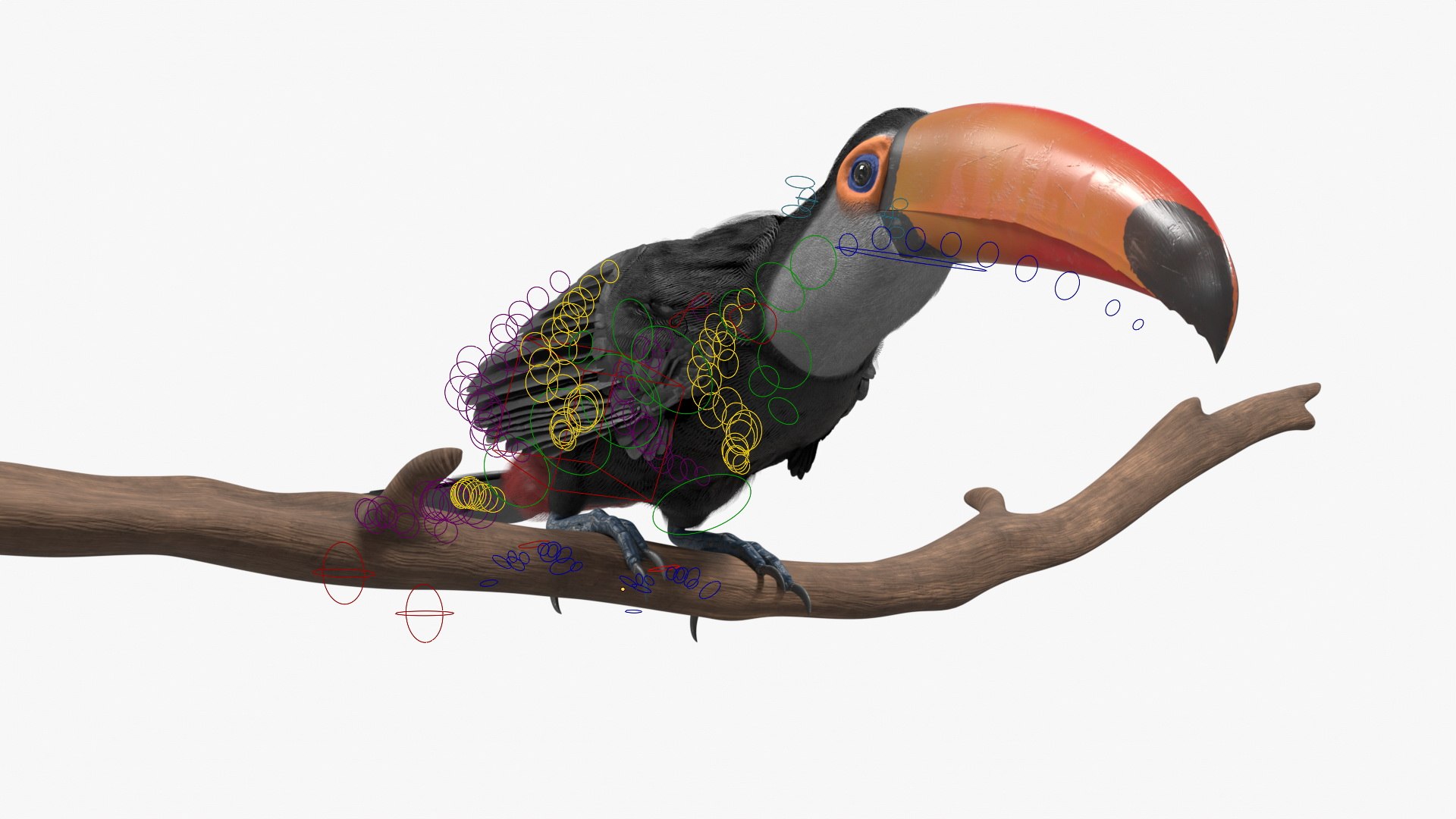 3D Tropical Toco Toucan Animated Fur Rigged For Blender model https://p.turbosquid.com/ts-thumb/21/S4nTIp/Wc/tropical_toco_toucan_animated_fur_rigged_for_blender_005/jpg/1766150278/1920x1080/fit_q87/6cc8ed0c50feaf5fe1572c7c07355ef7e5a412b9/tropical_toco_toucan_animated_fur_rigged_for_blender_005.jpg