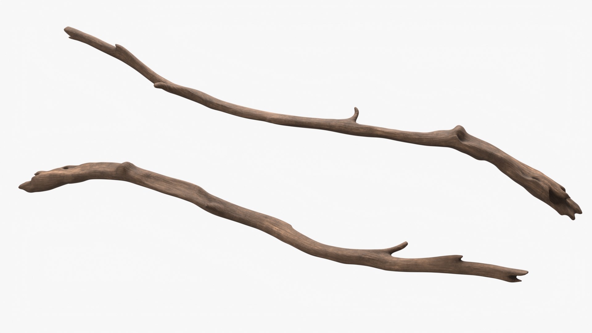 3D Tropical Toco Toucan Animated Fur Rigged For Blender model https://p.turbosquid.com/ts-thumb/21/S4nTIp/ep/tropical_toco_toucan_animated_fur_rigged_for_blender_011/jpg/1766150300/1920x1080/fit_q87/eda1b1f2df54a7a2e5f000441dd71e3c6505e769/tropical_toco_toucan_animated_fur_rigged_for_blender_011.jpg