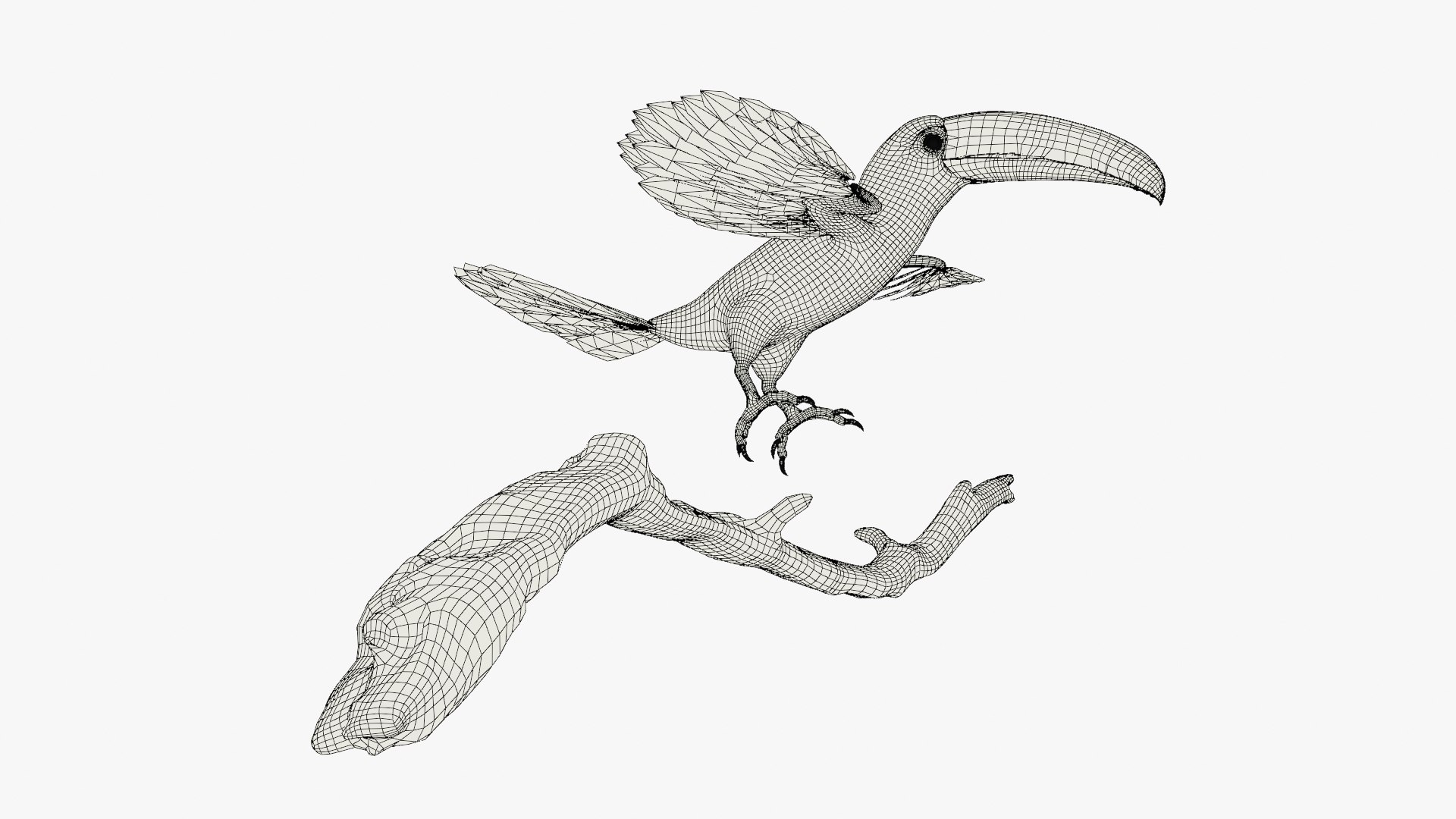 3D Tropical Toco Toucan Animated Fur Rigged For Blender model https://p.turbosquid.com/ts-thumb/21/S4nTIp/pF/tropical_toco_toucan_animated_fur_rigged_for_blender_016/jpg/1766150318/1920x1080/fit_q87/b83947d14e66918e94e032ee1a92662065785870/tropical_toco_toucan_animated_fur_rigged_for_blender_016.jpg