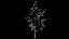 Low-Poly Rocks and High-Poly Trees 3D model