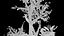 Low-Poly Rocks and High-Poly Trees 3D model