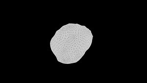Low-Poly Rocks and High-Poly Trees