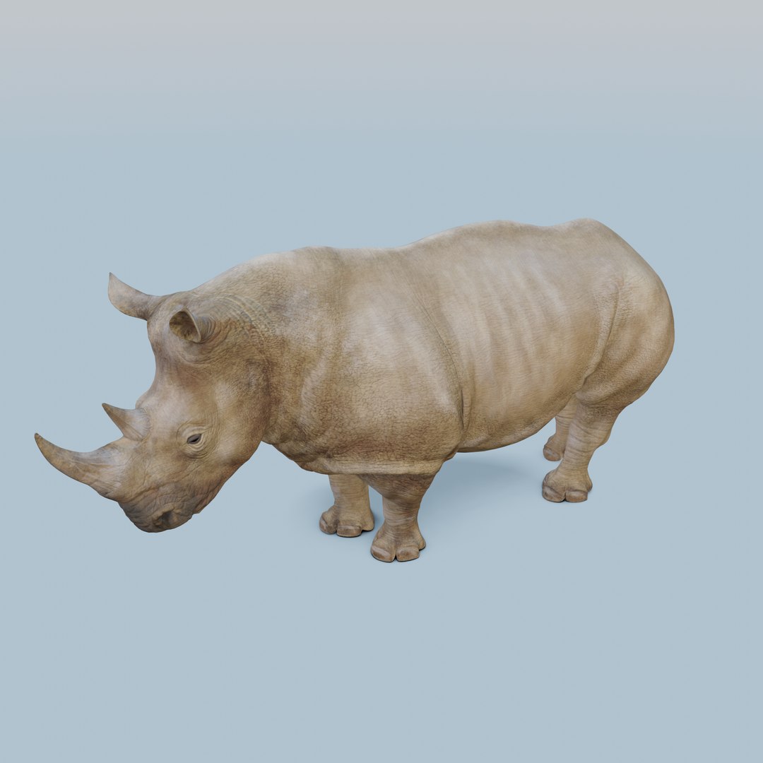 3D model Gray Rhino 3D Model Animated https://p.turbosquid.com/ts-thumb/21/WPqRAO/Ex/turnaround_0020/png/1723520578/1920x1080/fit_q87/477fc12c5a1a025412a983928c89ad89a4c3454c/turnaround_0020.jpg