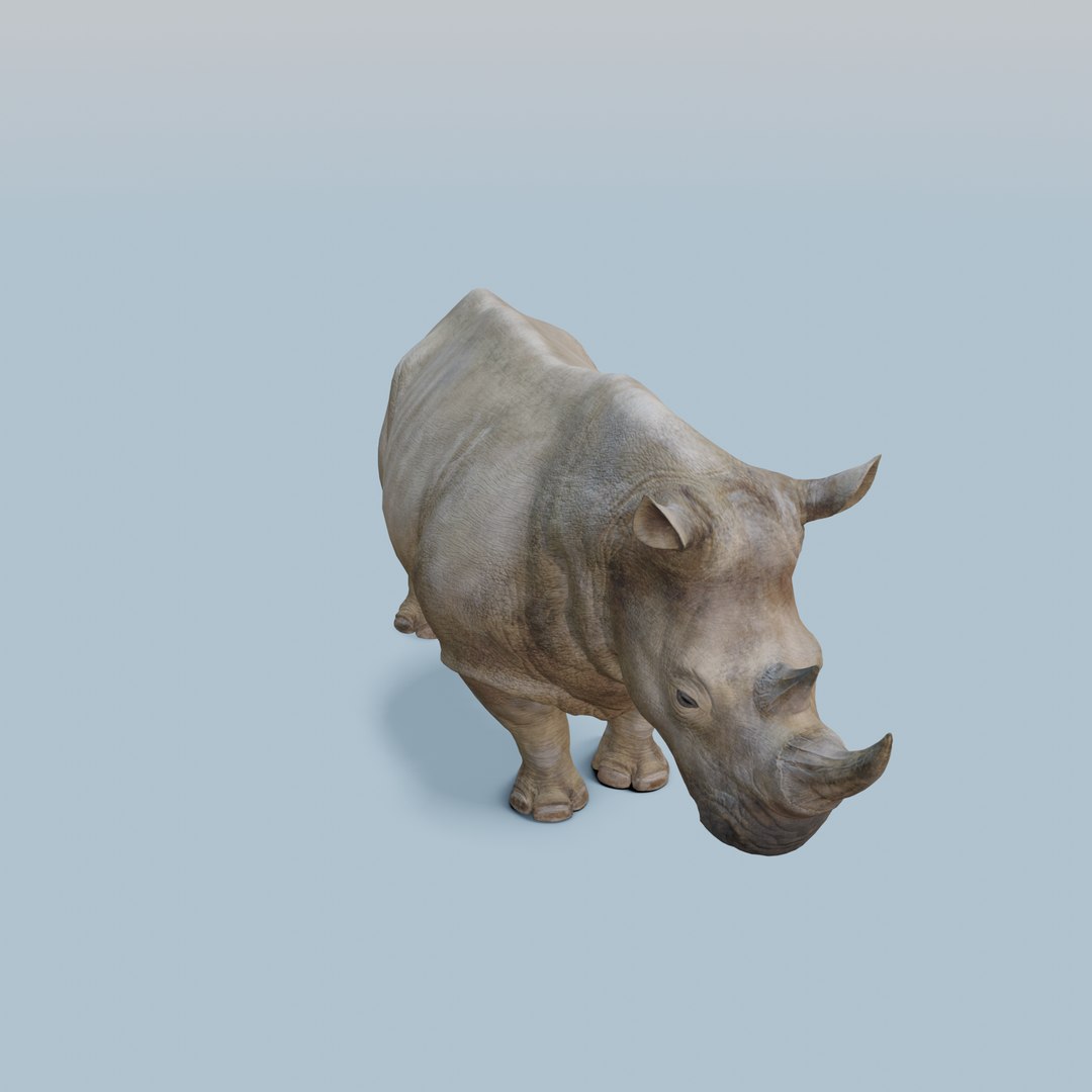 3D model Gray Rhino 3D Model Animated https://p.turbosquid.com/ts-thumb/21/WPqRAO/sK/turnaround_0016/png/1723520570/1920x1080/fit_q87/1d0187db5031cb5a1a2acef7369dabf5e87d3508/turnaround_0016.jpg