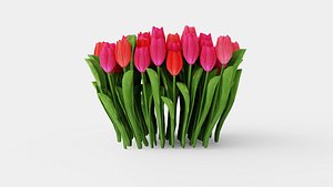 3D Tulip Flowers