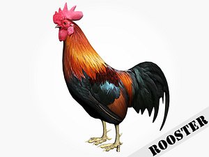 rooster 3d model