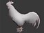 Coq