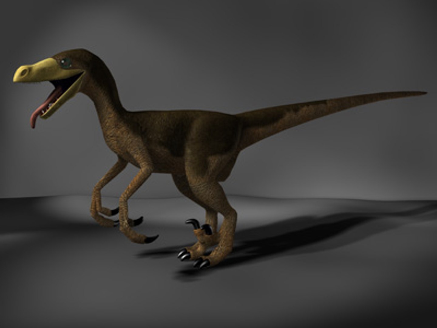Raptor Dinosaurs 3d Model