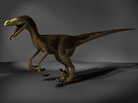 Raptor.max