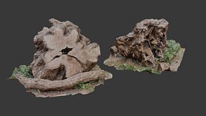 Tree Stump Scan with Roots and Moss 3D model
