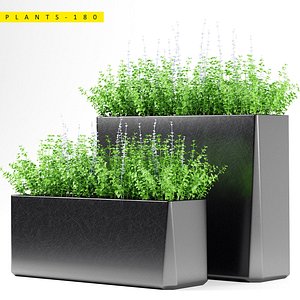 3D plant 180 planter model