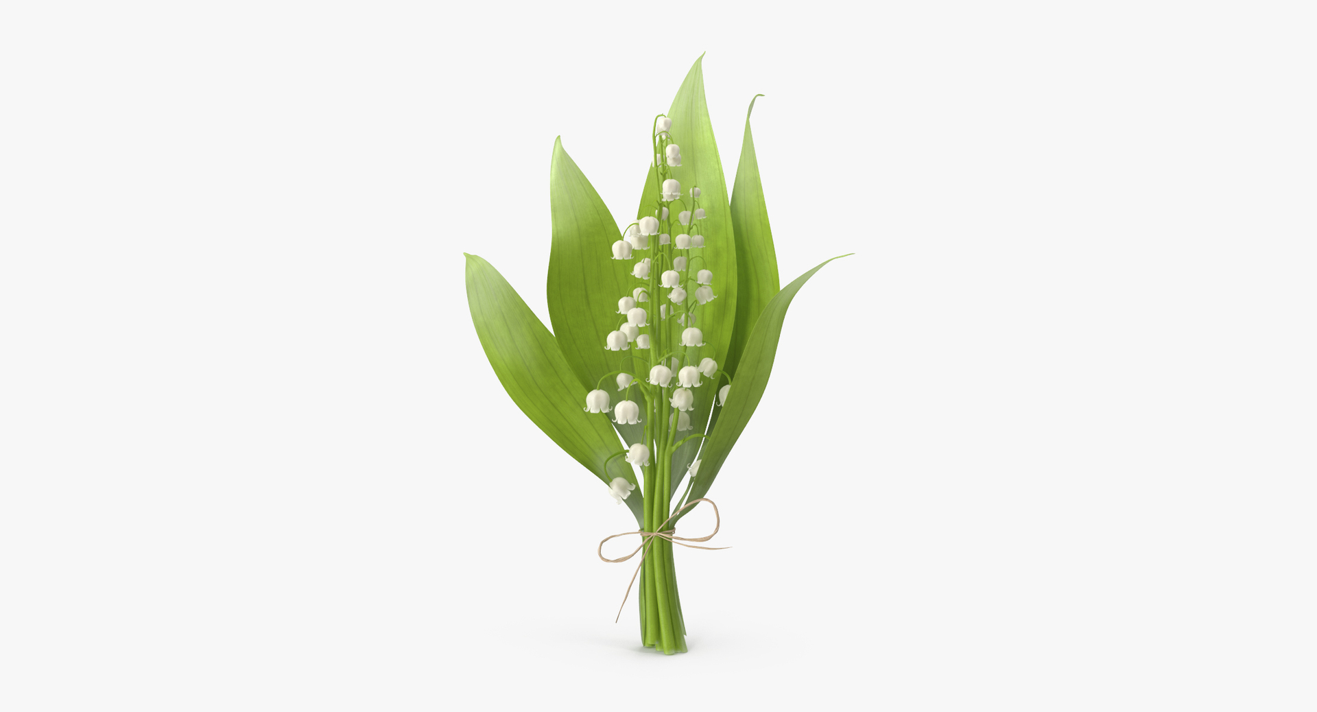 flowers 02 - 149 3D model https://p.turbosquid.com/ts-thumb/22/Fukx41/2FL1VMqX/0000/jpg/1564586838/1920x1080/turn_fit_q99/893e5443ef158b9dd1a1413cb1864c9836cc4d2a/0000-1.jpg