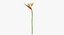 Collezione Flowers 02 - 149 Prodotti