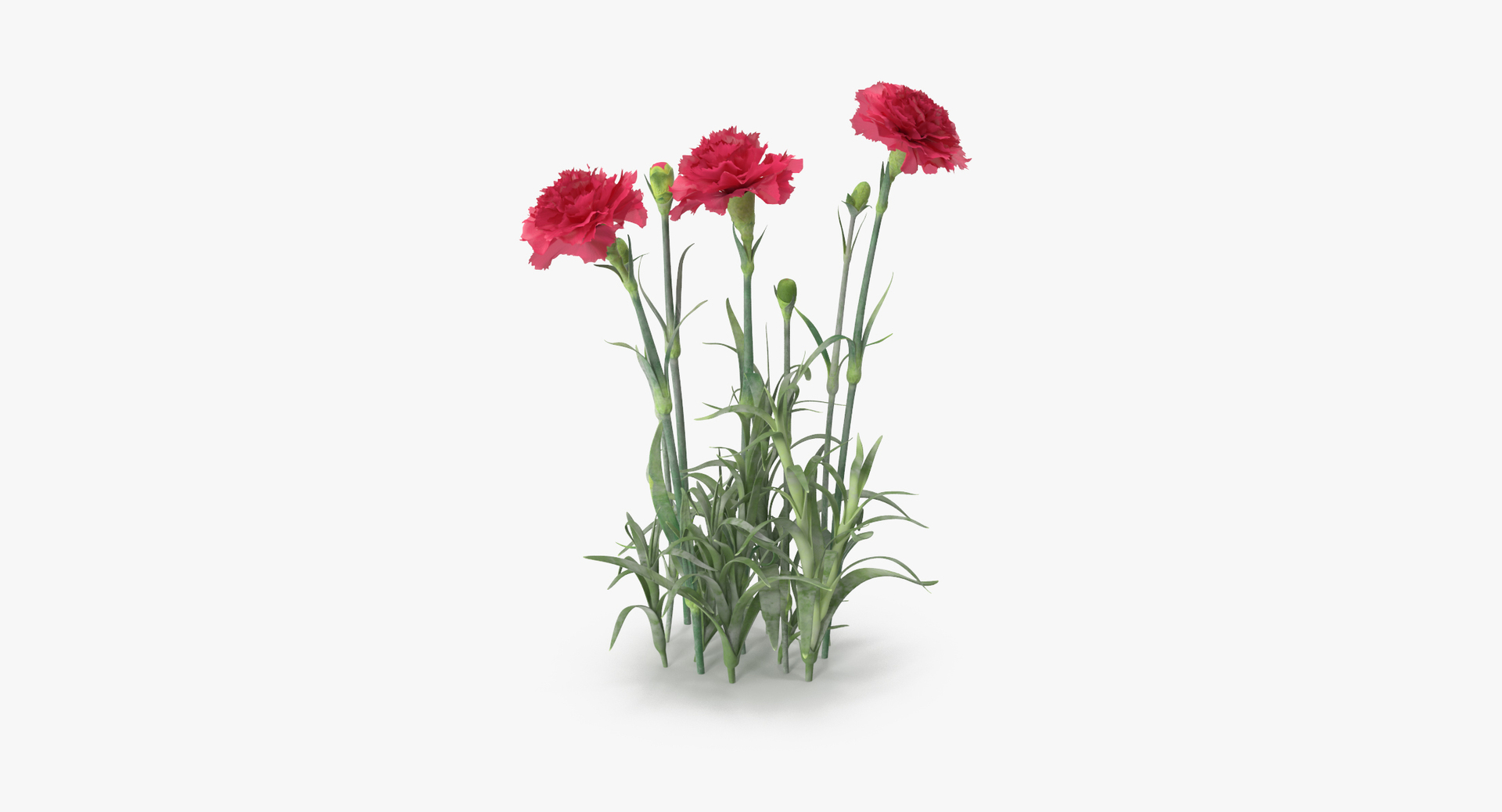 flowers 02 - 149 3D model https://p.turbosquid.com/ts-thumb/22/Fukx41/6X1J27rw/0000/jpg/1564580300/1920x1080/turn_fit_q99/d3c1f9a8d15e48719a684b9abe04cc21e86350f2/0000-1.jpg