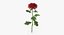 Collezione Flowers 02 - 149 Prodotti