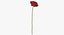 Collezione Flowers 02 - 149 Prodotti