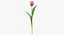 Collezione Flowers 02 - 149 Prodotti