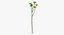 Collezione Flowers 02 - 149 Prodotti