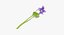 Collezione Flowers 02 - 149 Prodotti