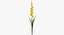 Collezione Flowers 02 - 149 Prodotti