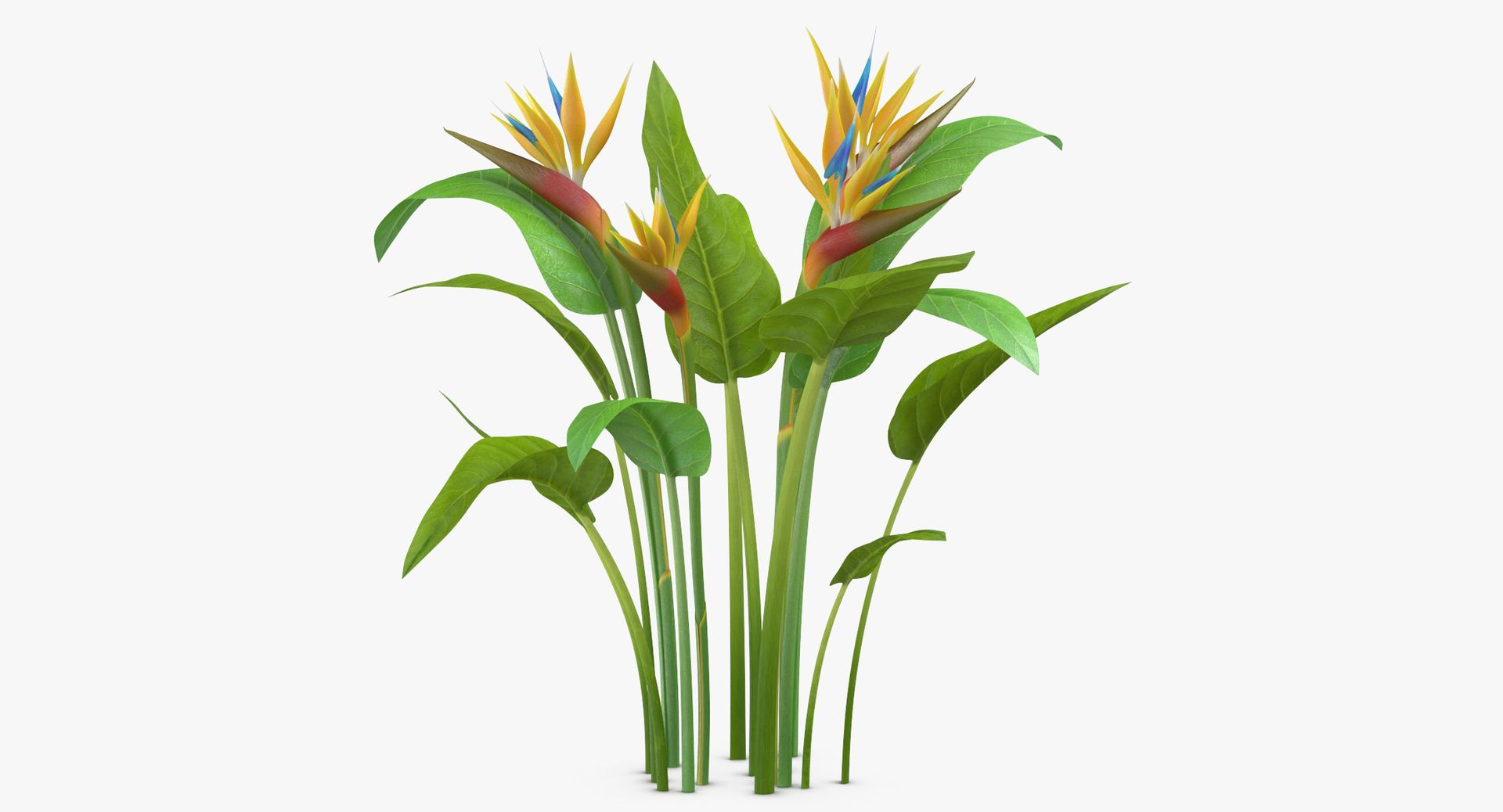 flowers 02 - 149 3D model https://p.turbosquid.com/ts-thumb/22/Fukx41/WLbYTFqG/0000/jpg/1564584965/1920x1080/turn_fit_q99/b668badea168e9778aeb43a8061c4517210d9986/0000-1.jpg