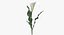 Collezione Flowers 02 - 149 Prodotti