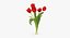 Collezione Flowers 02 - 149 Prodotti