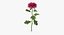 Collezione Flowers 02 - 149 Prodotti