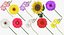 Collezione Flowers 02 - 149 Prodotti
