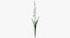 Collezione Flowers 02 - 149 Prodotti