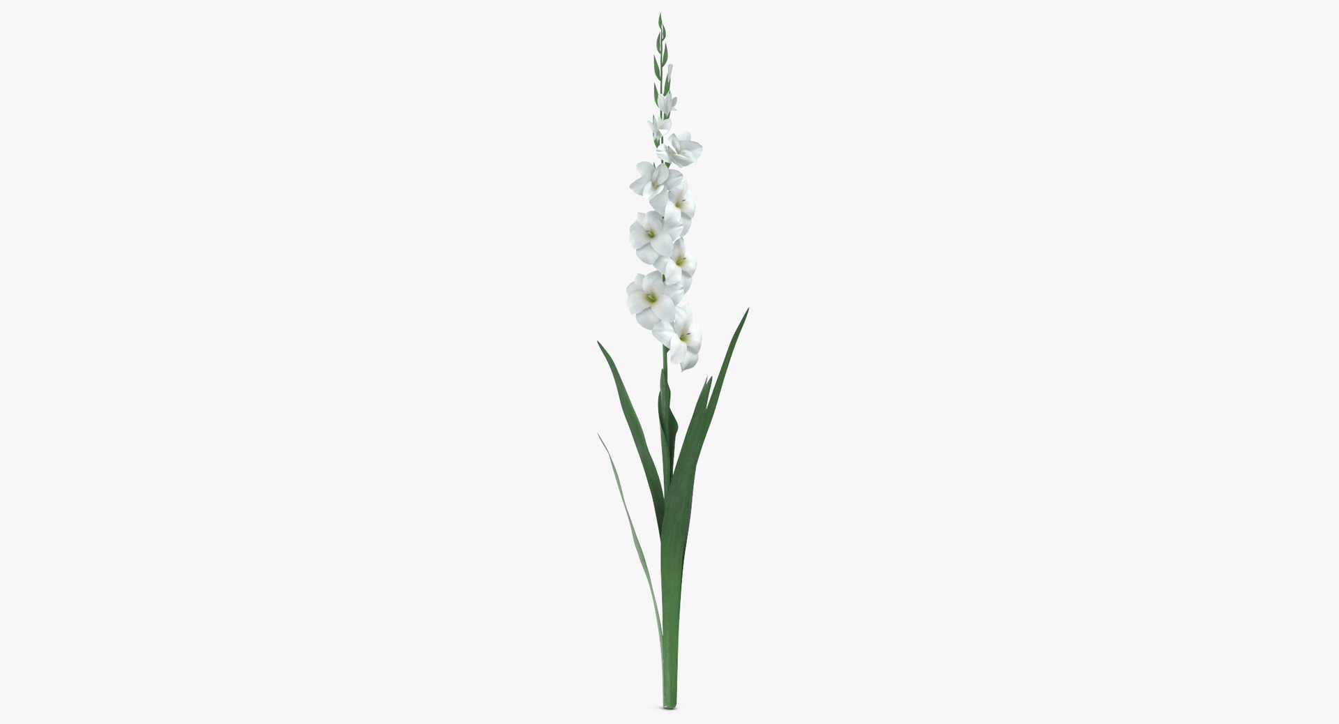 flowers 02 - 149 3D model https://p.turbosquid.com/ts-thumb/22/Fukx41/cS4xU017/0000/jpg/1566208155/1920x1080/turn_fit_q99/6a4b072c585104eaa5cf882ac9fa4c71bc0072ba/0000-1.jpg