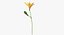 Collezione Flowers 02 - 149 Prodotti