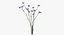 Collezione Flowers 02 - 149 Prodotti