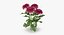 Collezione Flowers 02 - 149 Prodotti