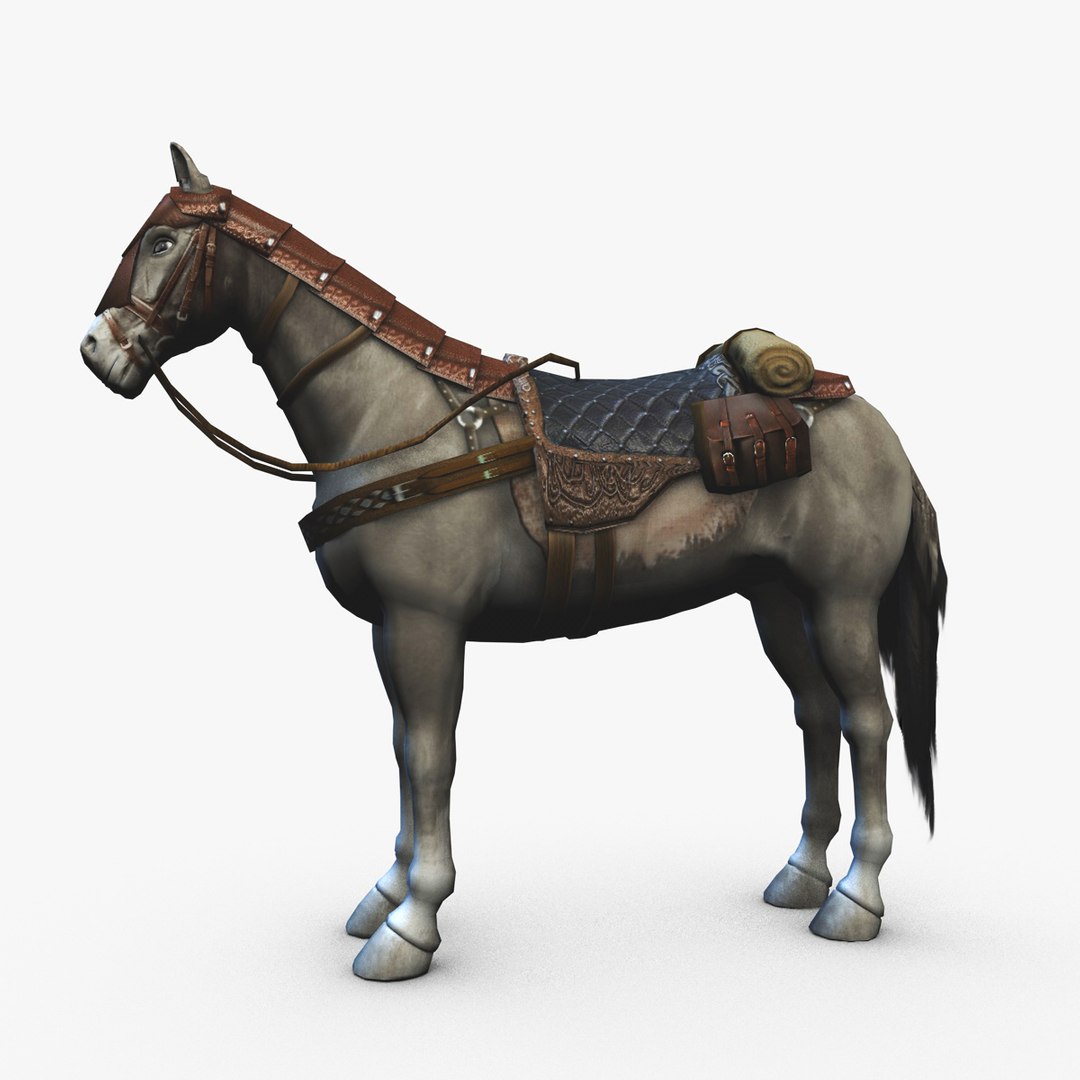 Adventurer Horse Armor Saddle Model TurboSquid 1399235
