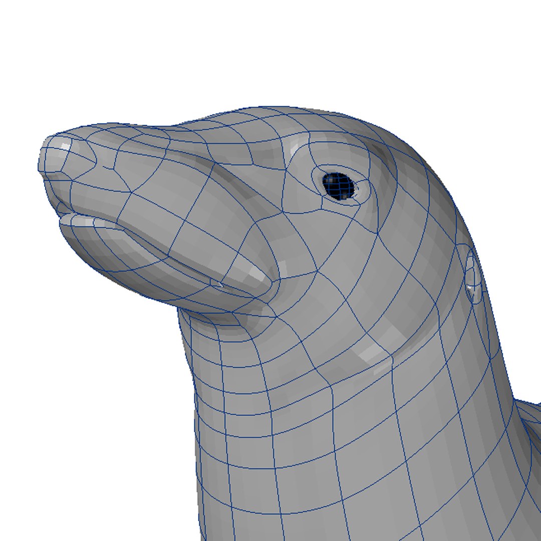 sea lion obj https://p.turbosquid.com/ts-thumb/22/YvdqAb/J6ijmJII/sealionwire4/jpg/1296760114/1920x1080/fit_q87/8c6bd22e3652ead31d6c45e3f0ceb65732b8b3ac/sealionwire4.jpg