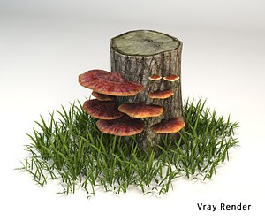 3D mushroom model