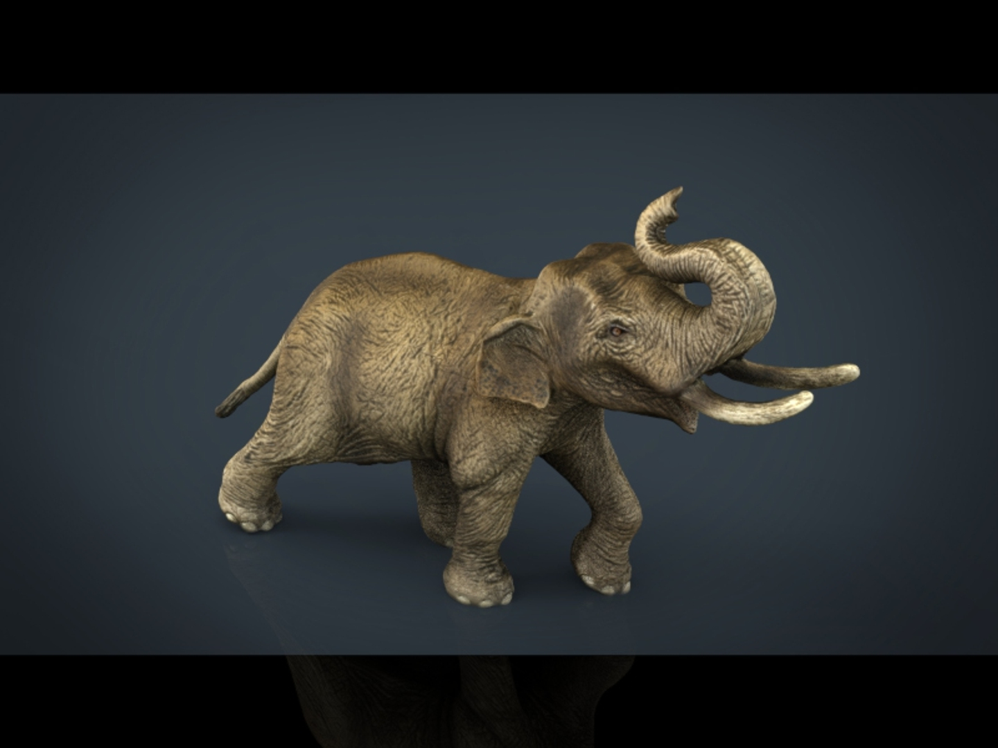 3d asian elephant https://p.turbosquid.com/ts-thumb/23/963Ahs/35zz1S66/asianelephant_/jpg/1485598545/1920x1080/turn_fit_q99/d6d4cd0e1e448b7080956ae3707a51dc49d0a15d/asianelephant_-1.jpg