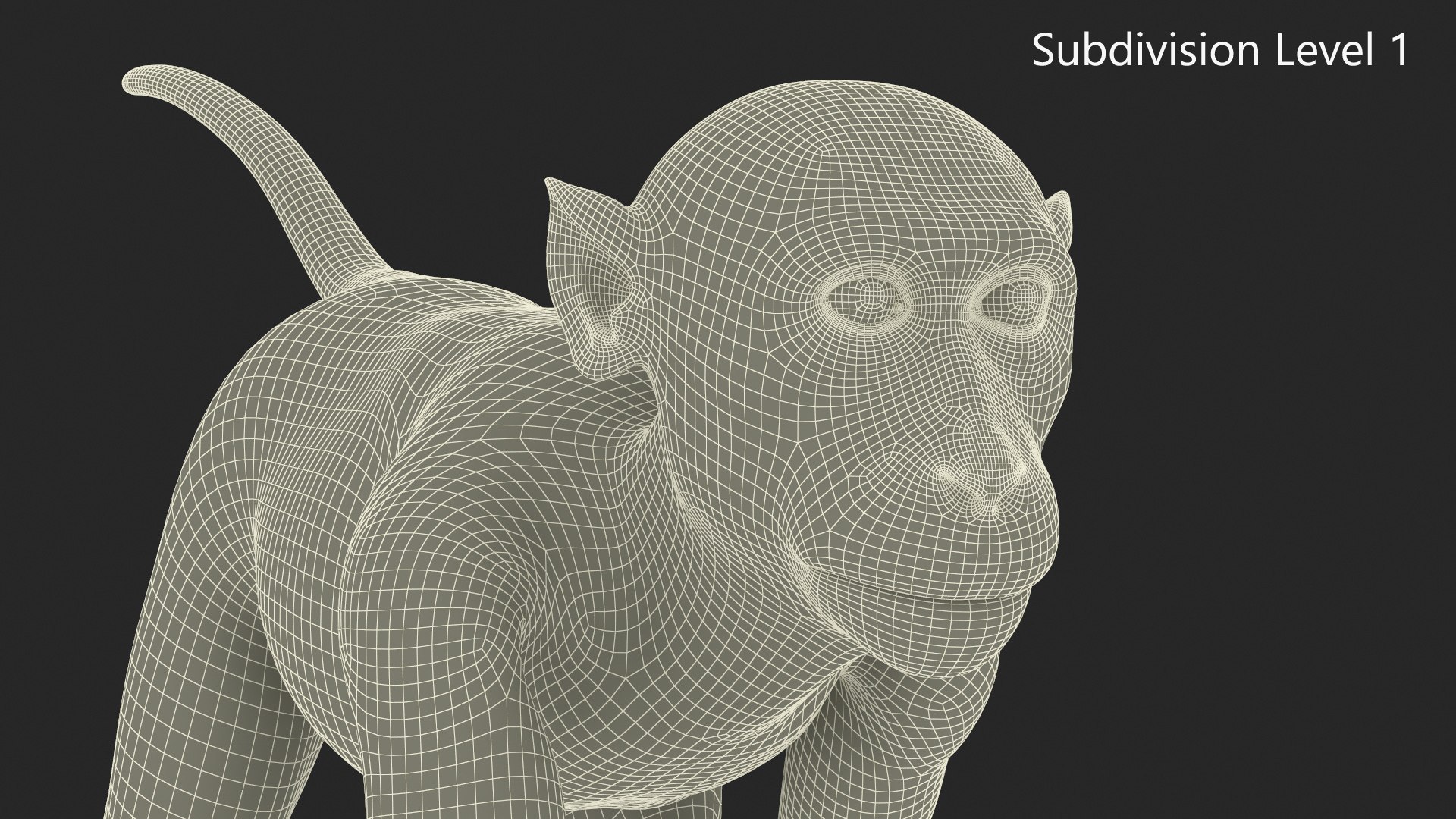 3D Brown Rhesus Macaque Walking Fur for Cinema 4D model https://p.turbosquid.com/ts-thumb/23/CEYvcz/gv/brown_rhesus_macaque_walking_fur_011/jpg/1760775963/1920x1080/fit_q87/a810f1cab9737524bee203487faf49395d3b0d3a/brown_rhesus_macaque_walking_fur_011.jpg