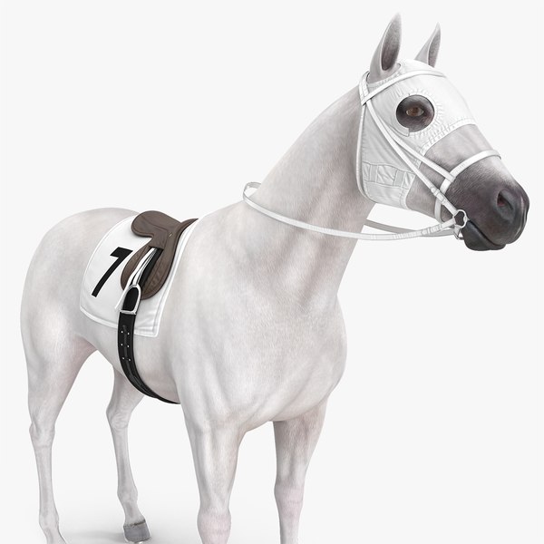 white racehorse horse racing 3D model