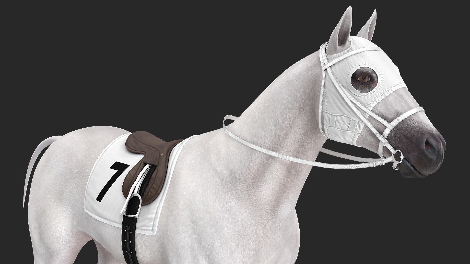 White Racehorse 3D model preview