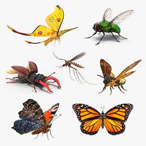 Rigged Flying Insects Collection 2