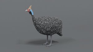 Low Poly Cartoon Helmeted Guineafowl