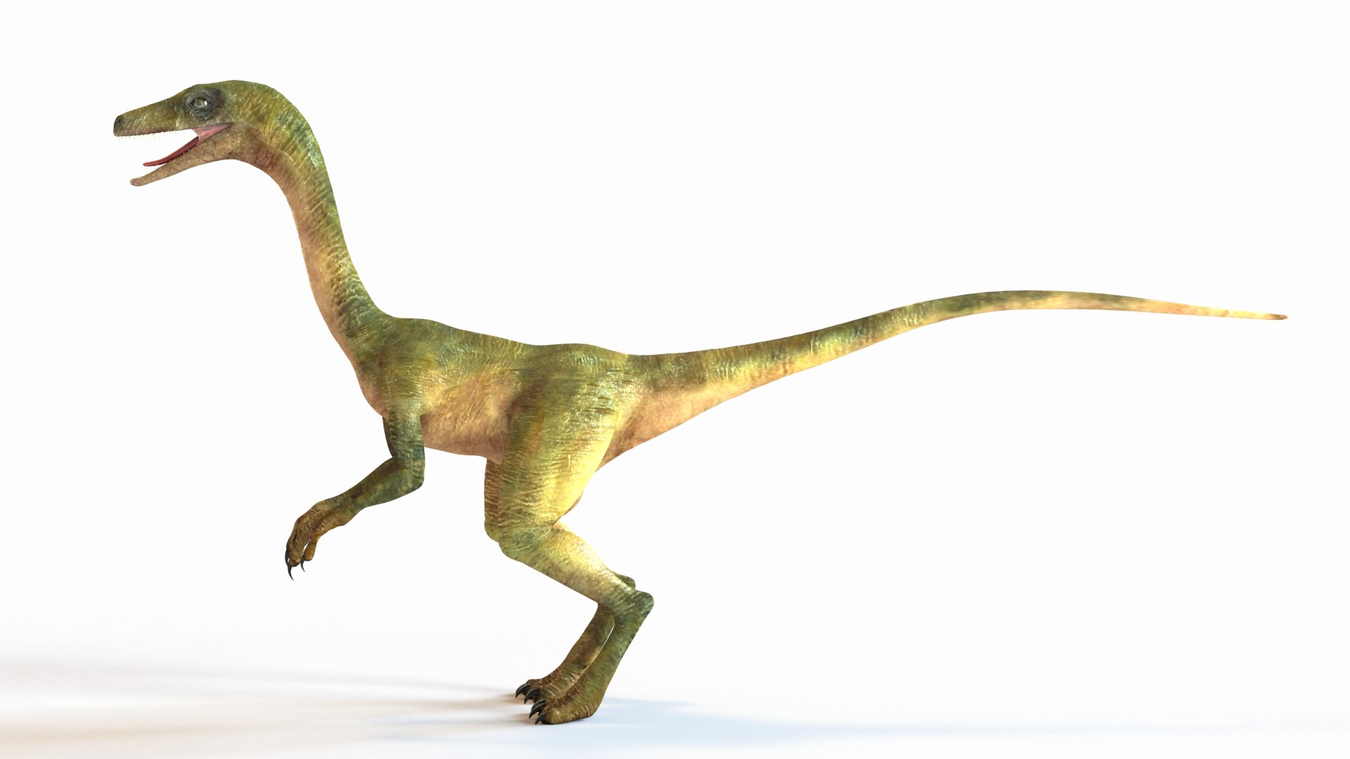 3d Compsognathus Compy Model